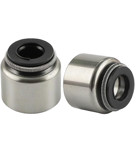 Valve Seal