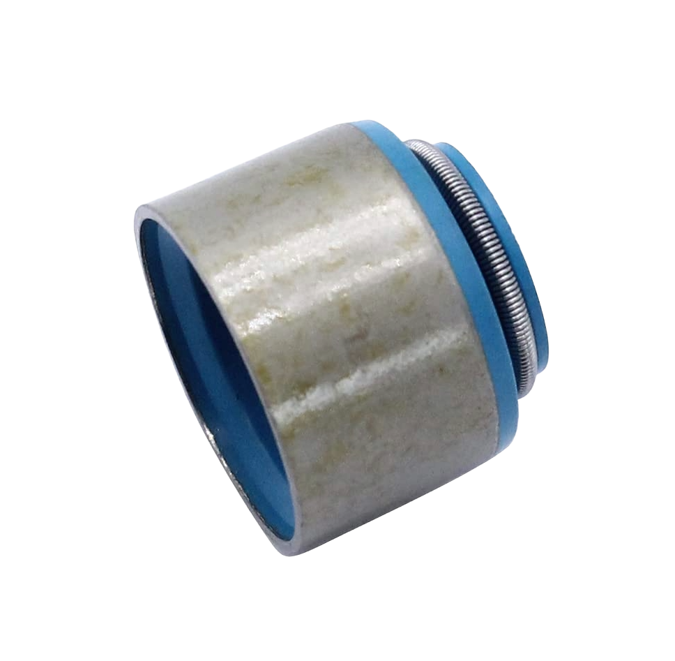 Valve Seal