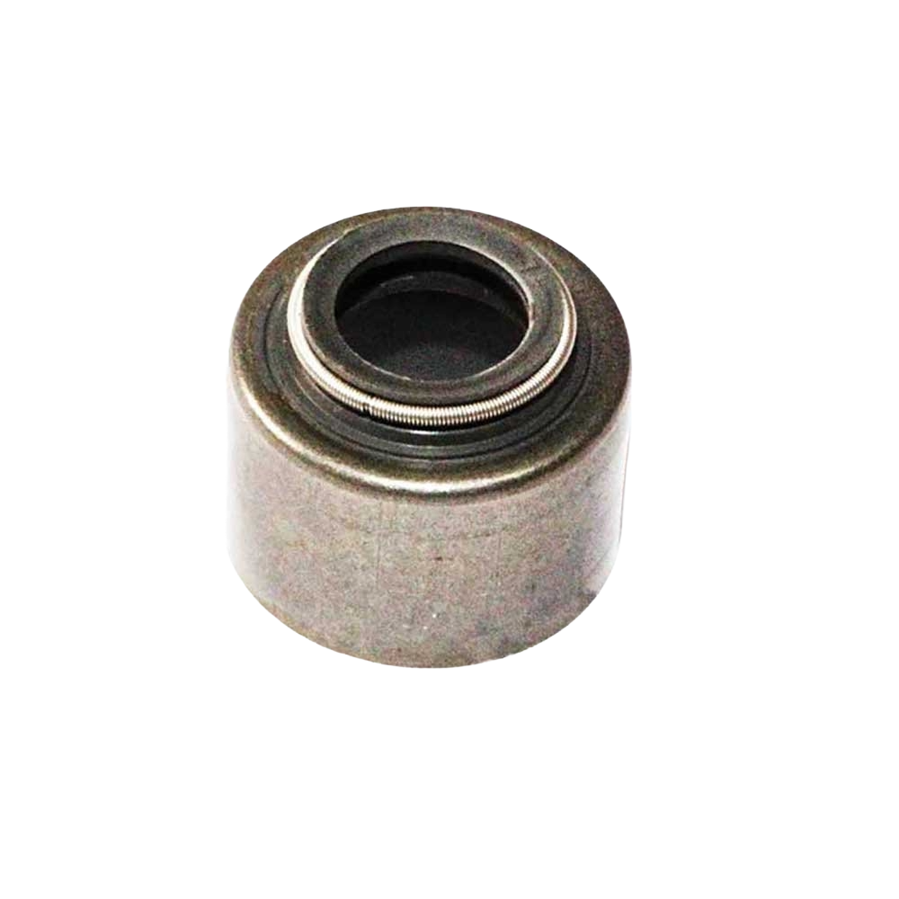 Valve Seal