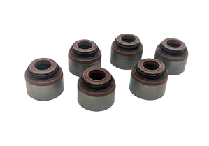 Valve Seal