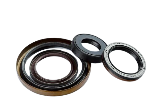 Oil Seal