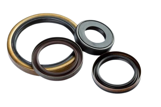 Oil Seal